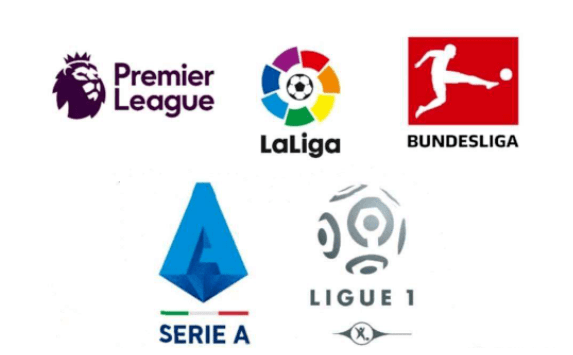 库巴西能否 库巴西能否